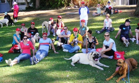 Million Paw Walk